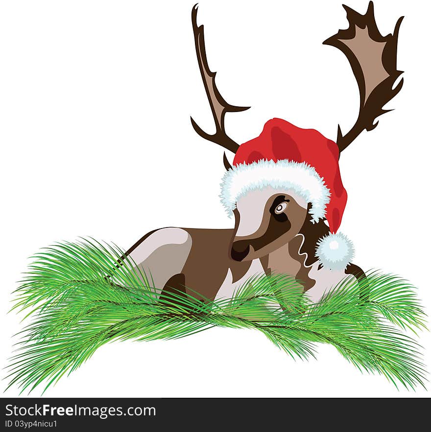 Deer wearing a Santa Claus hat sitting on the pine branches