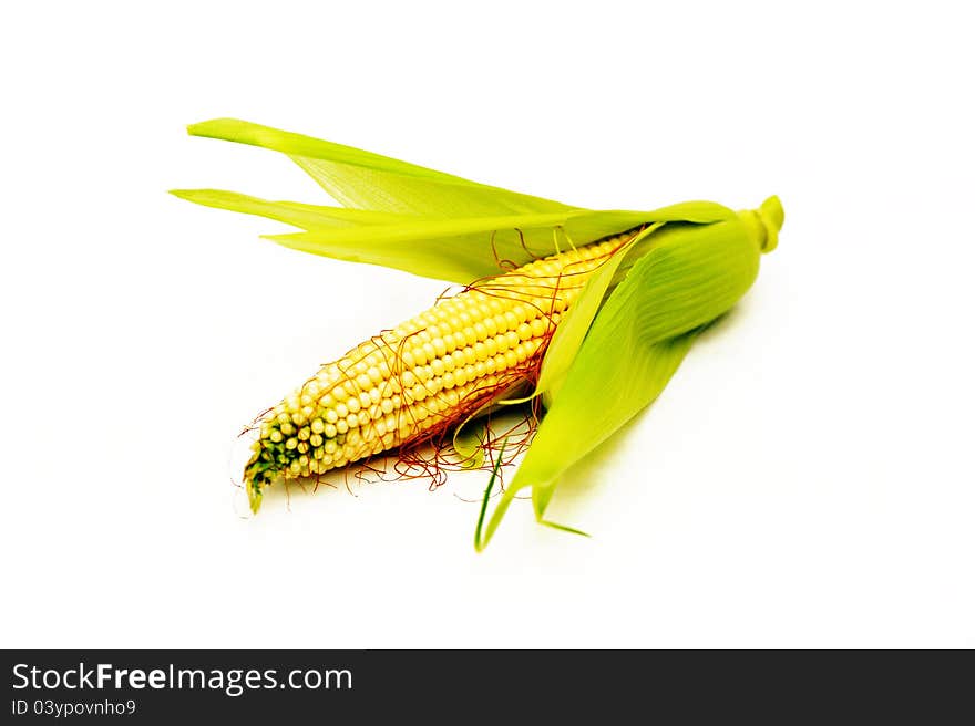 Corn