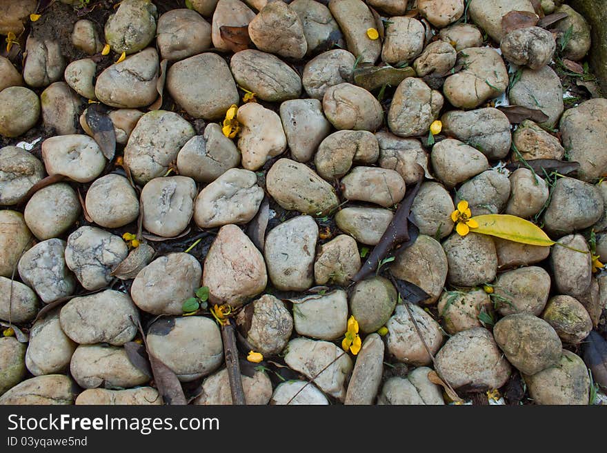 Stone and yellow flower  background . Stone and yellow flower  background