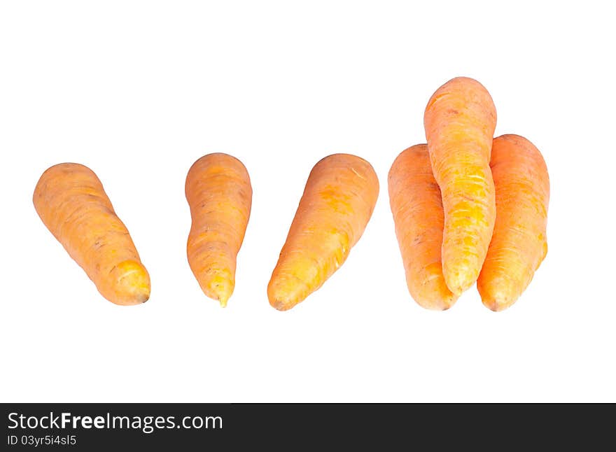 Ripe carrot from the garden