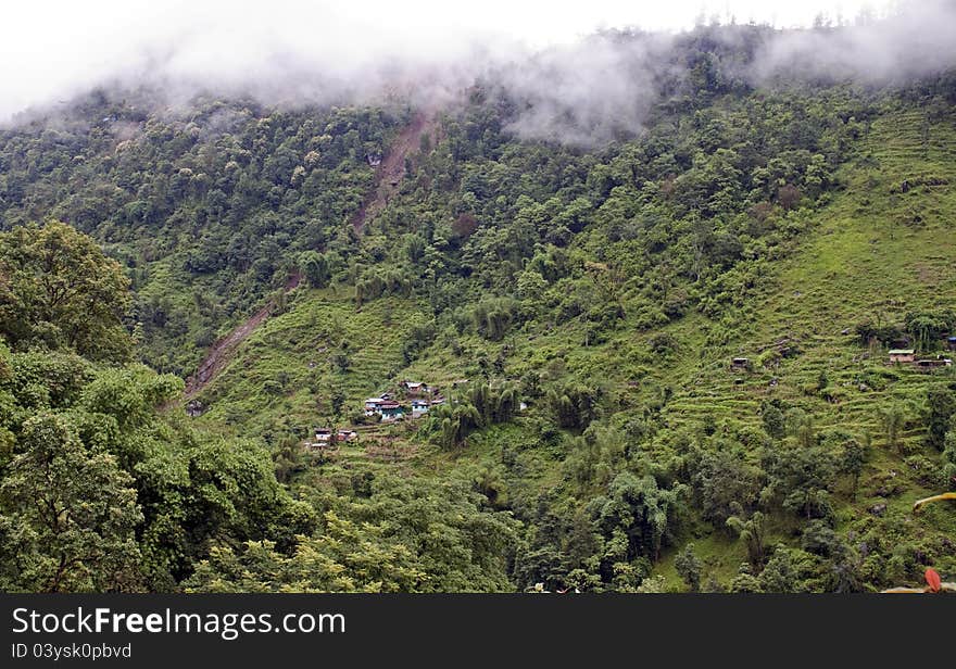 Rain forest covering mountains in Sikkim, India