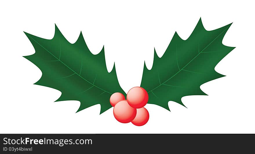 Holly Leaves And Berries