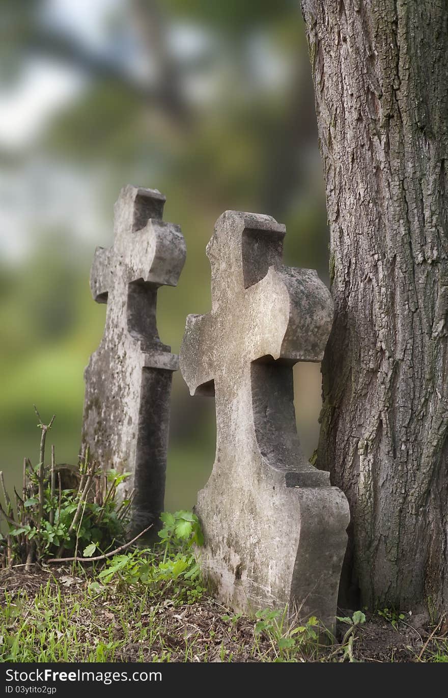 Pair of old tombstones in an old, abandoned cemetery, Hungary. Pair of old tombstones in an old, abandoned cemetery, Hungary