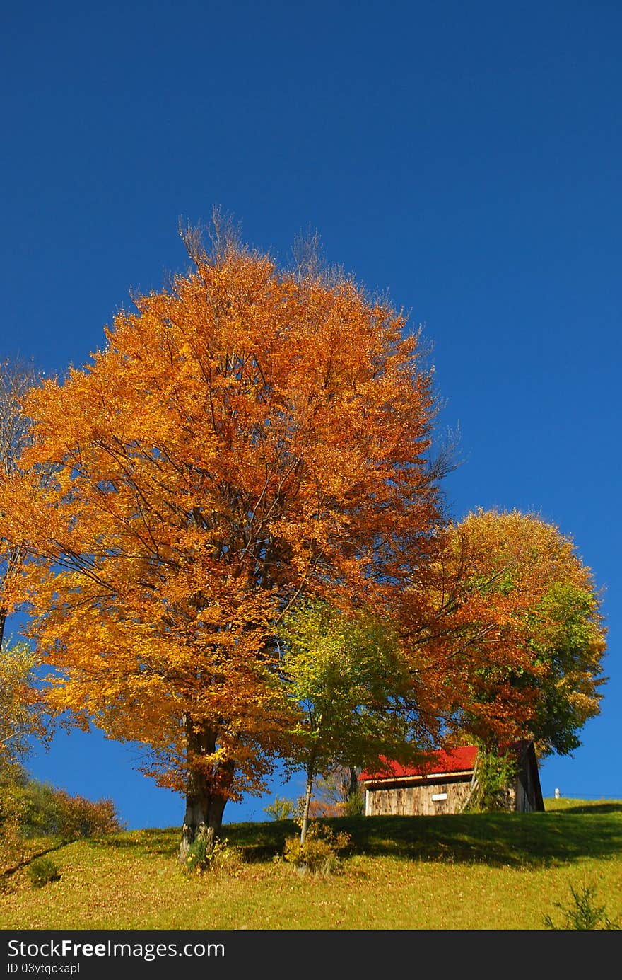 Fall  mountain landscape in Romania. Fall  mountain landscape in Romania