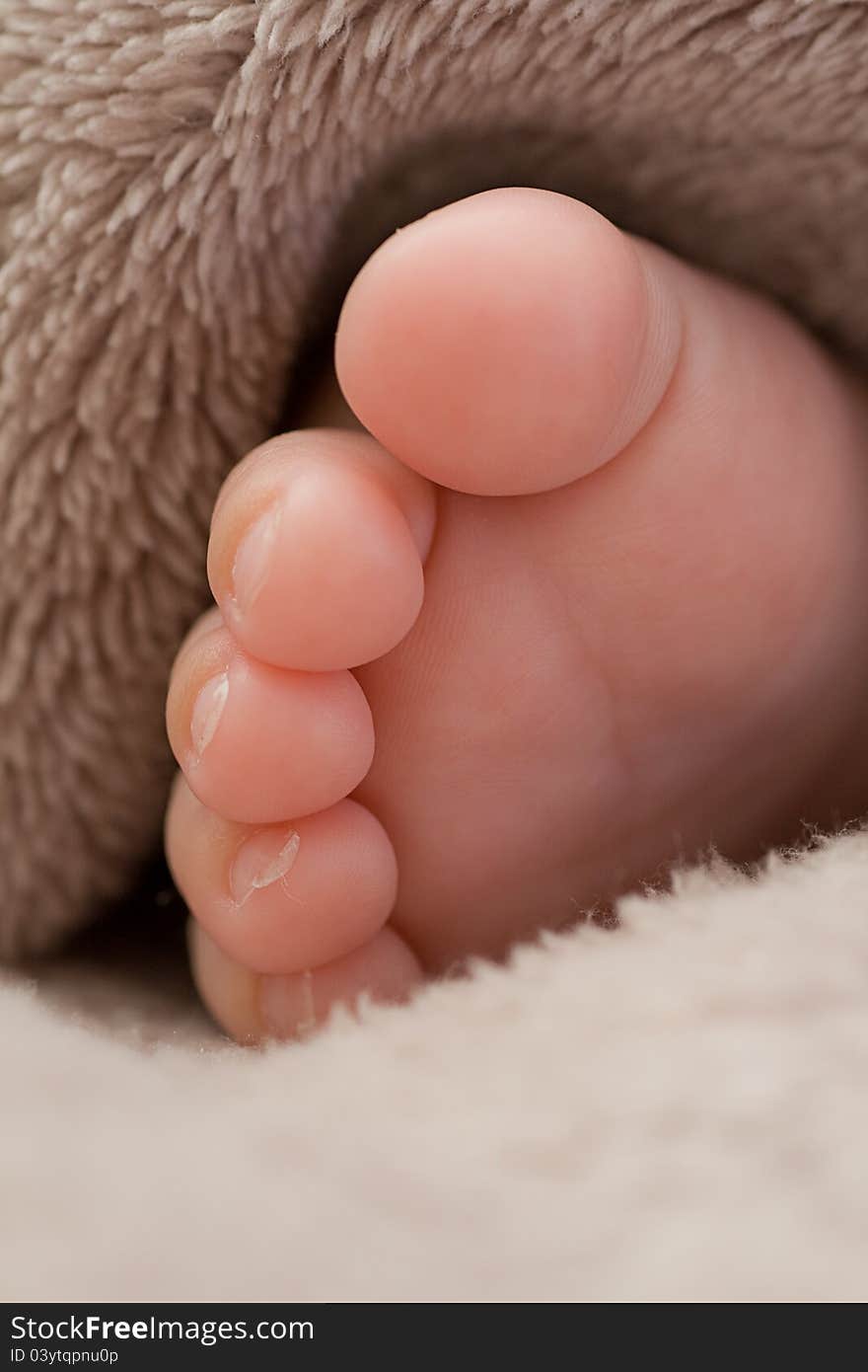 Baby Foot