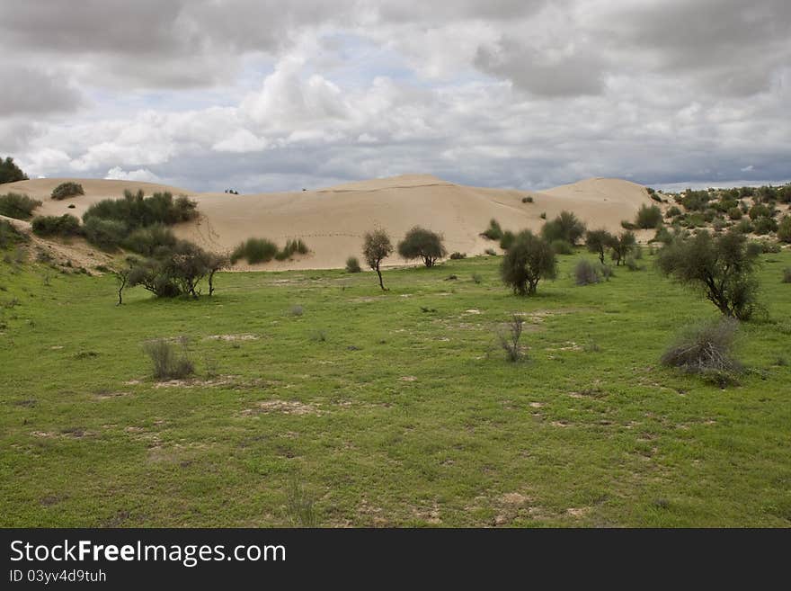 Sand dunes at Thar desert, India