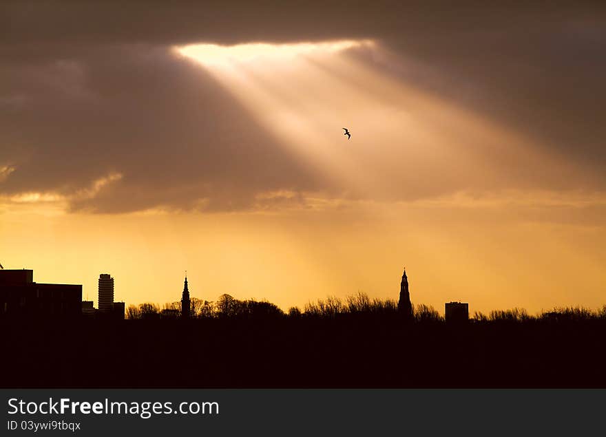 Urban view on the city with sunlight. Urban view on the city with sunlight