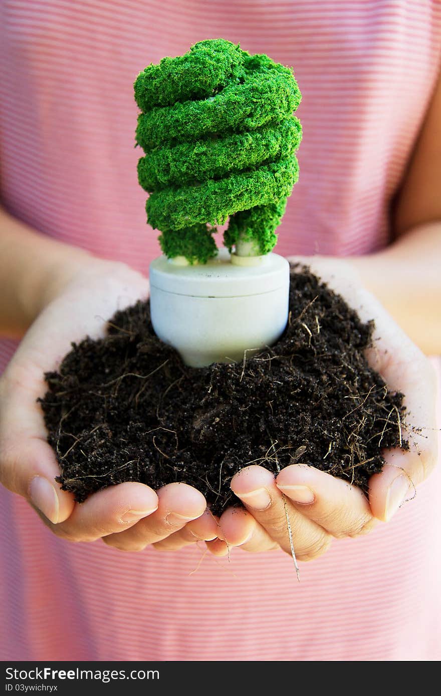 Image of Hand Holding eco light bulb