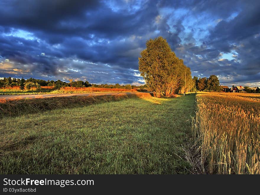 Rural Landscape At Sunrise, Latvia