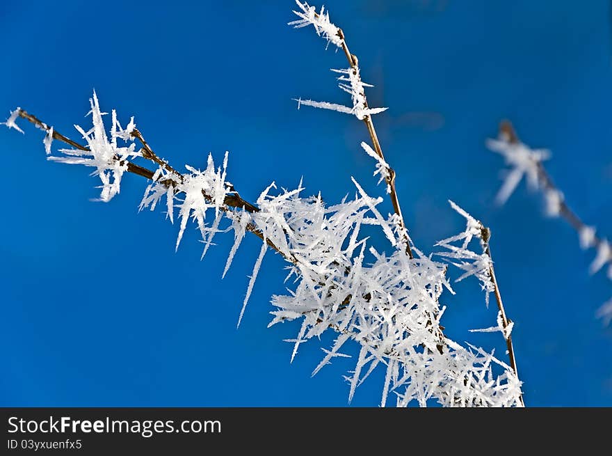 Hoarfrost