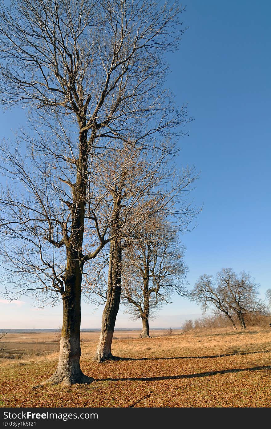 Travel on the mountain top in autumn time. Travel on the mountain top in autumn time