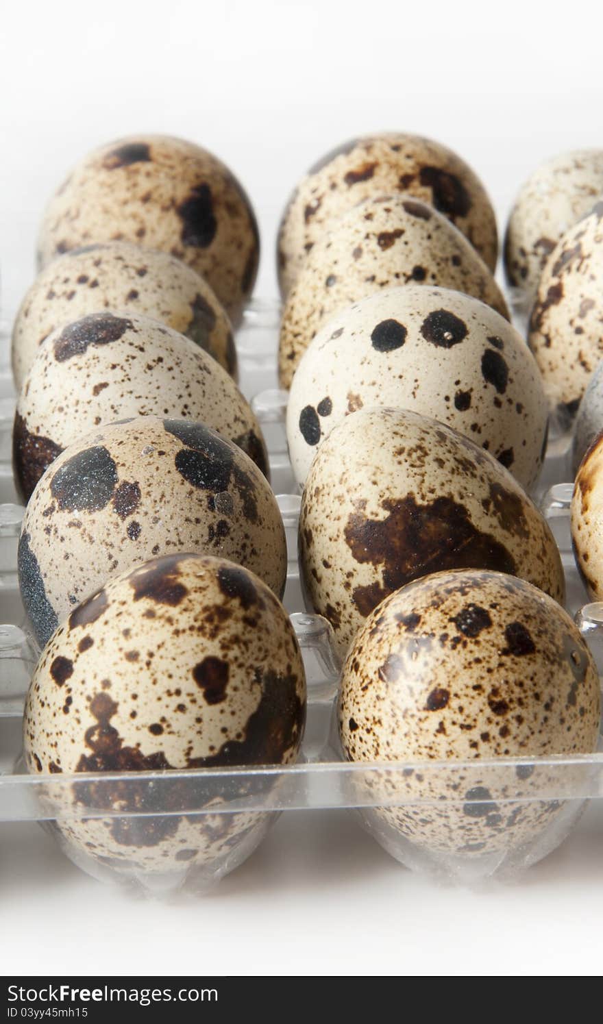 Closeup of colorful dotted quail eggs in their box