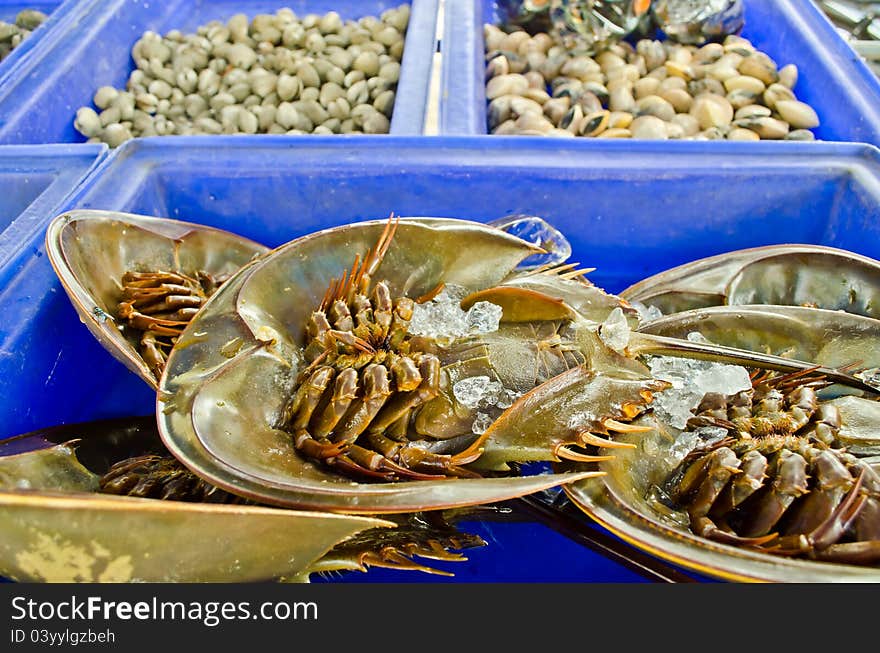 Fresh Horseshoe Crab In Market Of Thailand