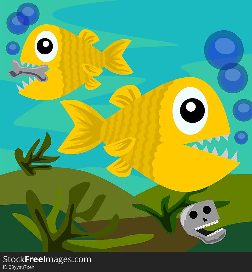 Swimming Piranhas