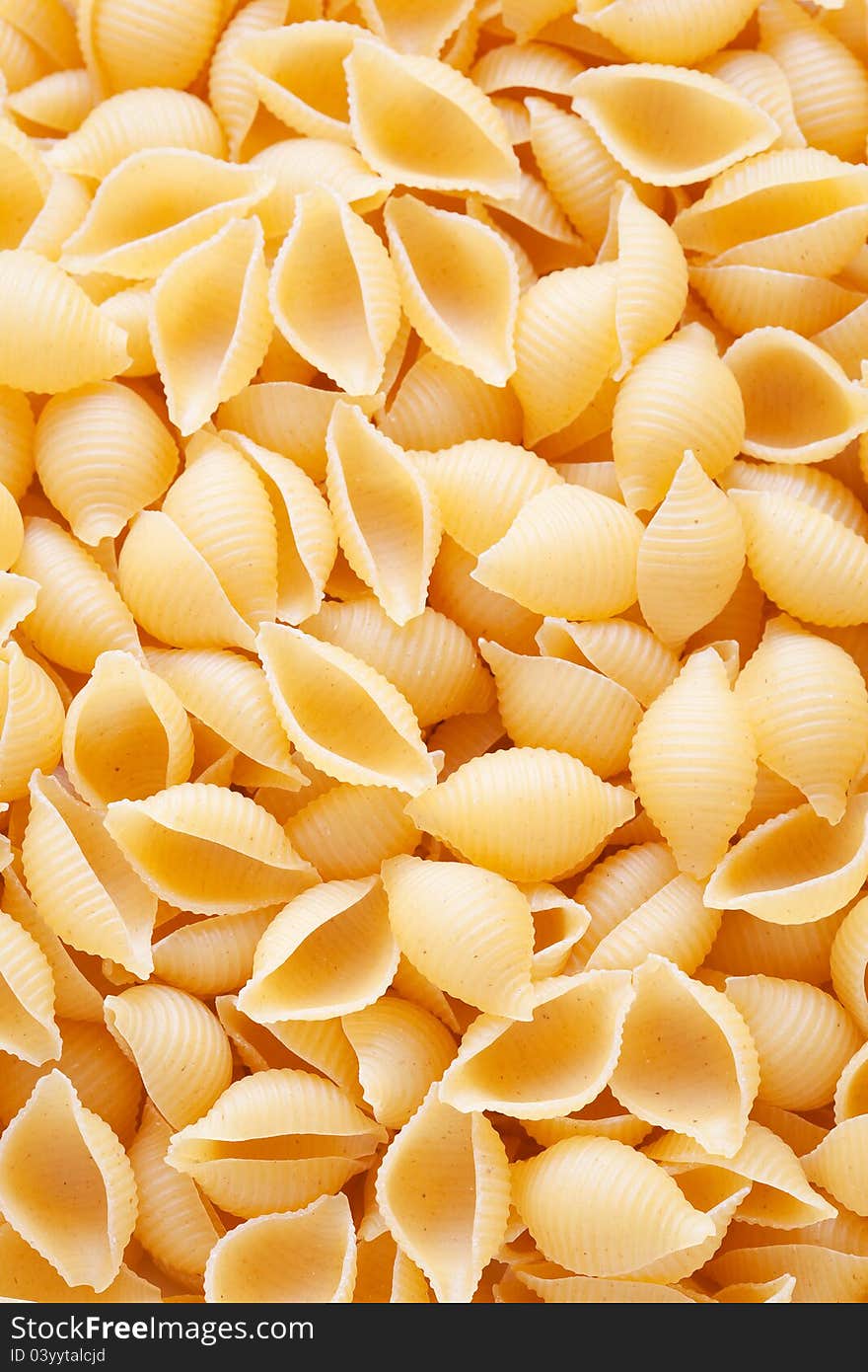 Conchiglie (seashells) pasta