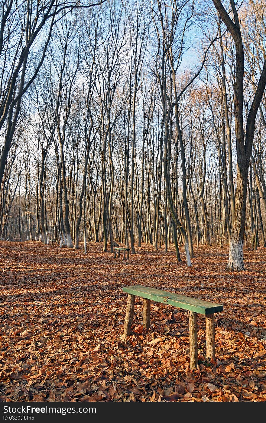 Bench on alley in a park at autumn morning. Bench on alley in a park at autumn morning