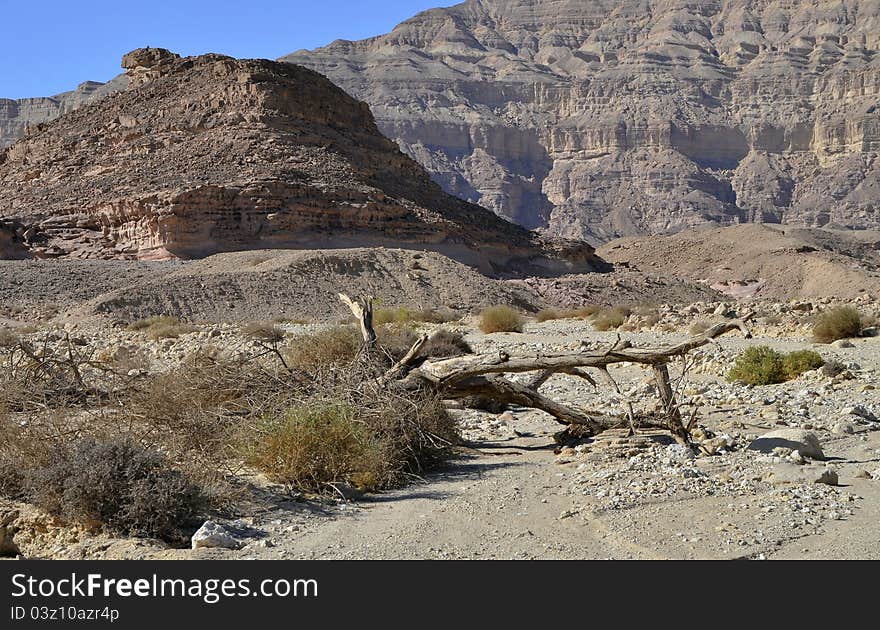 View on canyon of Timna park, Israel