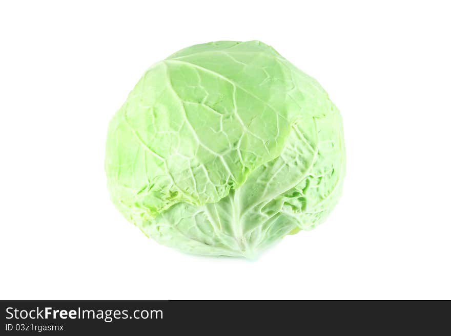 Cabbage