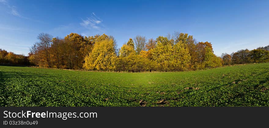 Autumn panorama