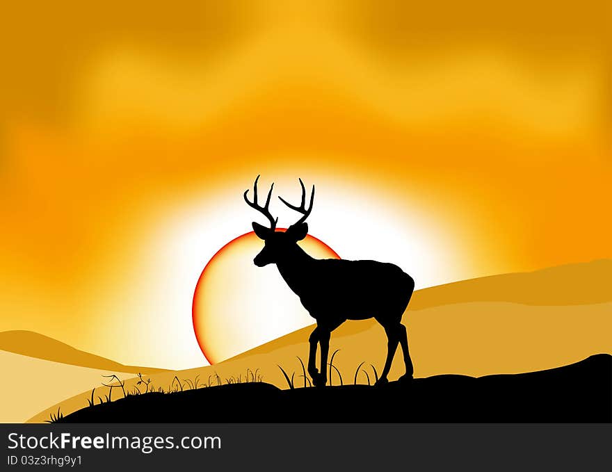 Deer landscape sunset