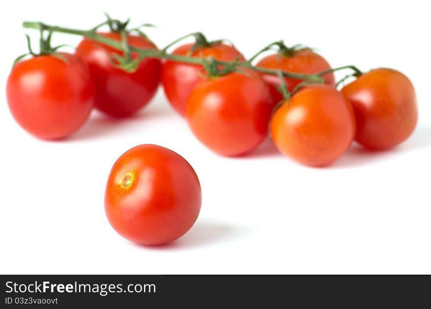 Ripe fresh cherry tomatoes on branch on a white background