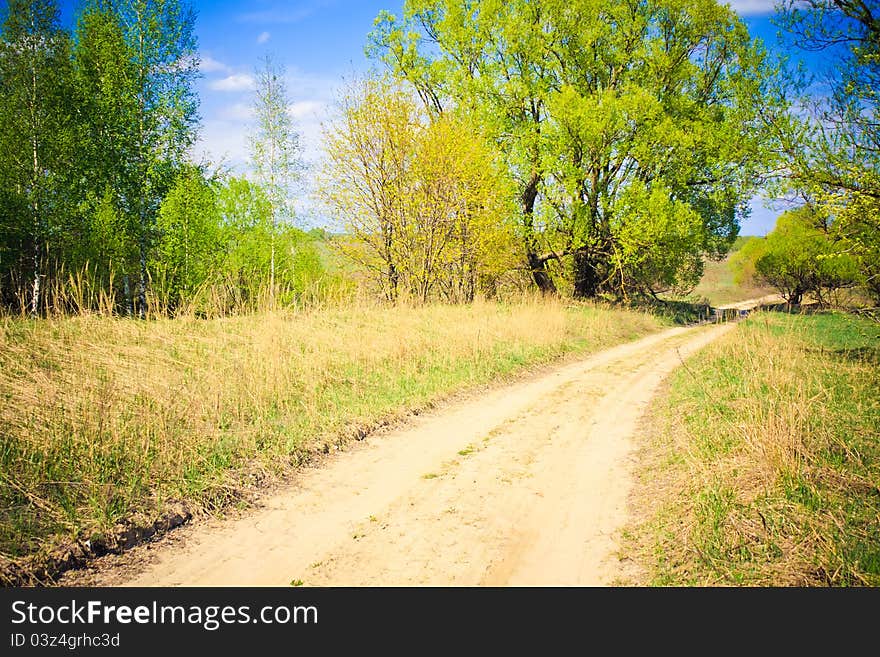 Rural road among a green forest