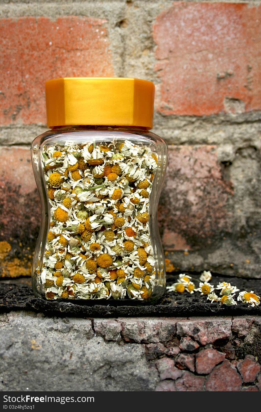 Camomile flowers in glass jar isolated on brick wall background