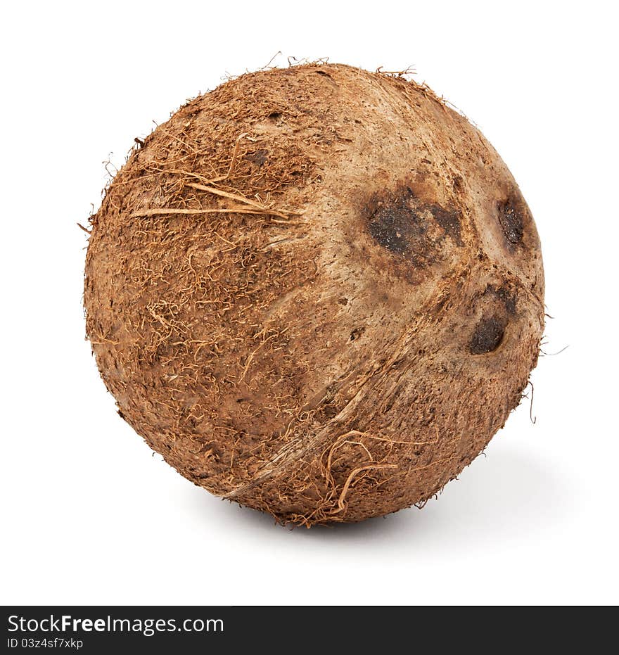 Single Coconut