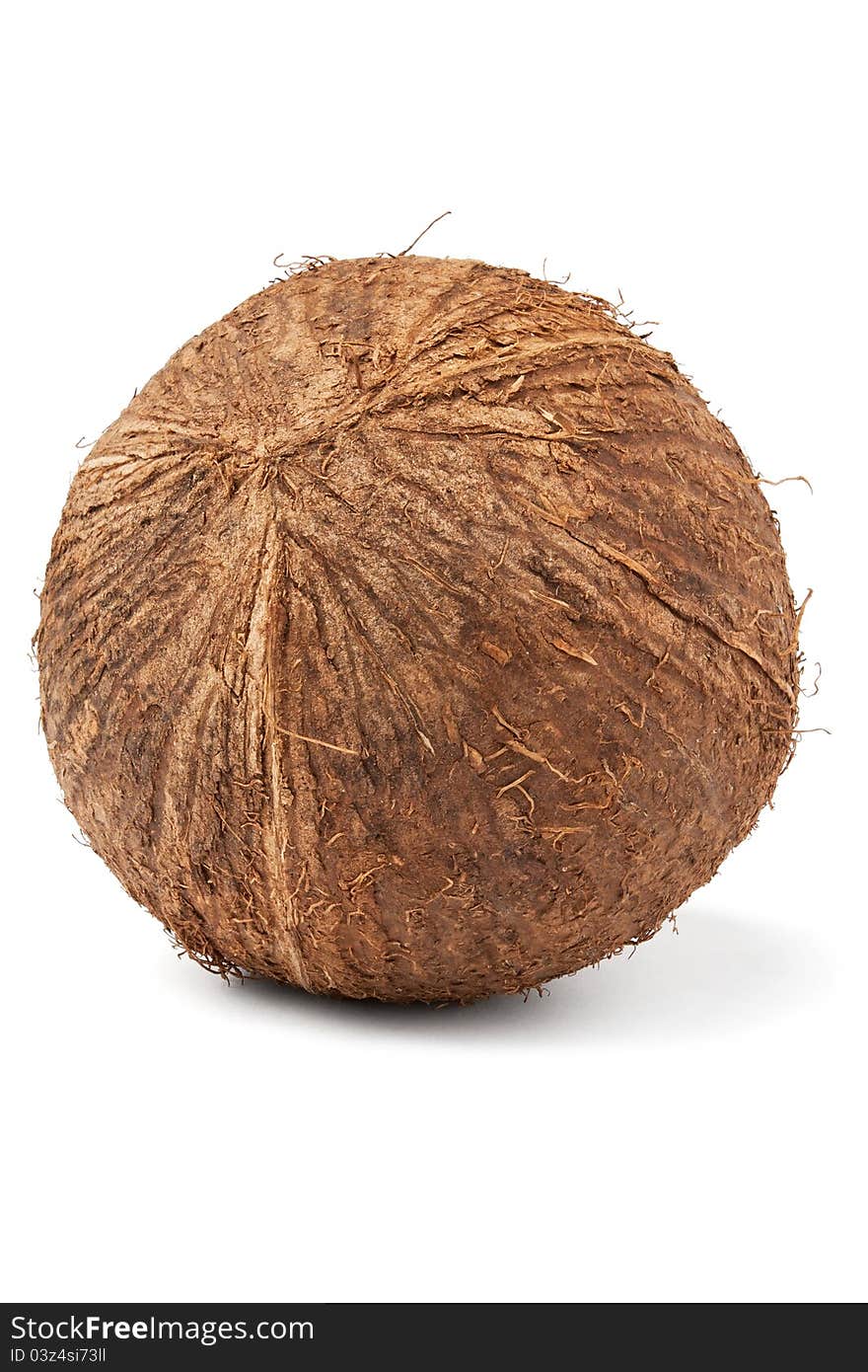 Single coconut