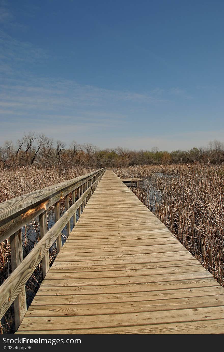 Boardwalk through swamp in Oklahoma. Boardwalk through swamp in Oklahoma