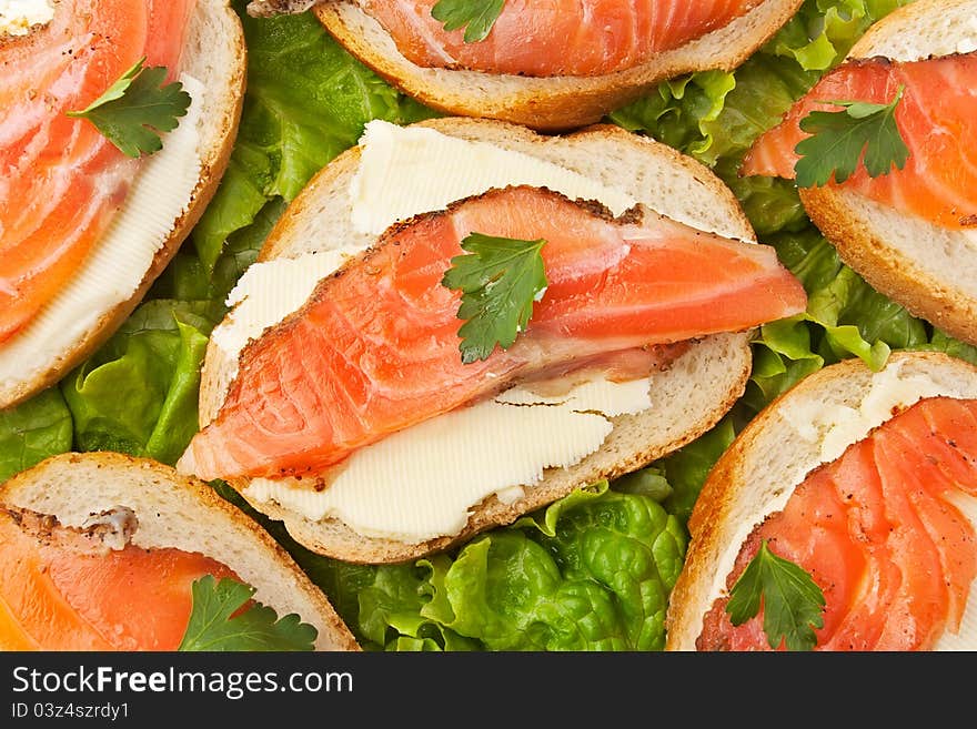 Salmon sandwich