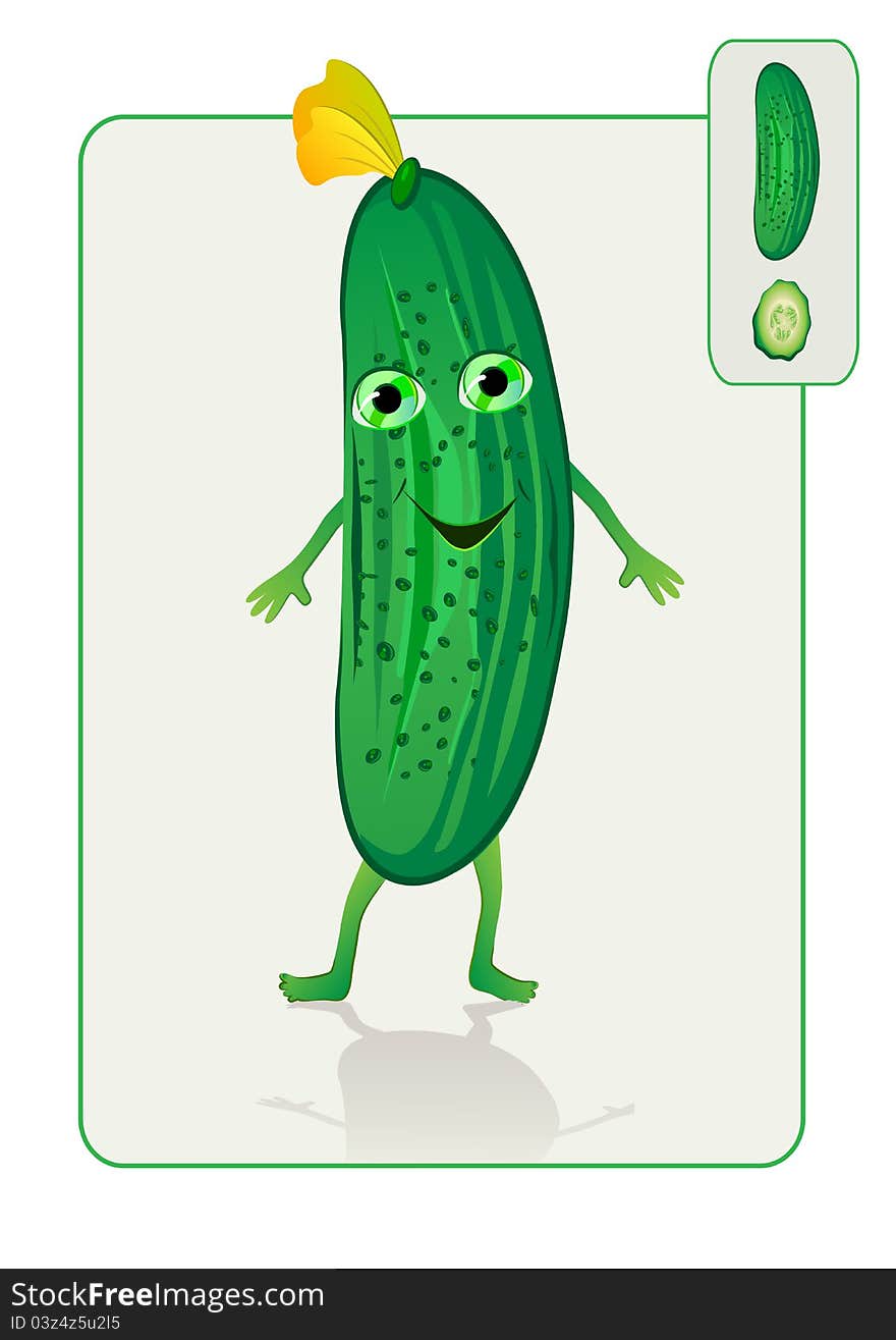 Funny And Realistic Cucumbers