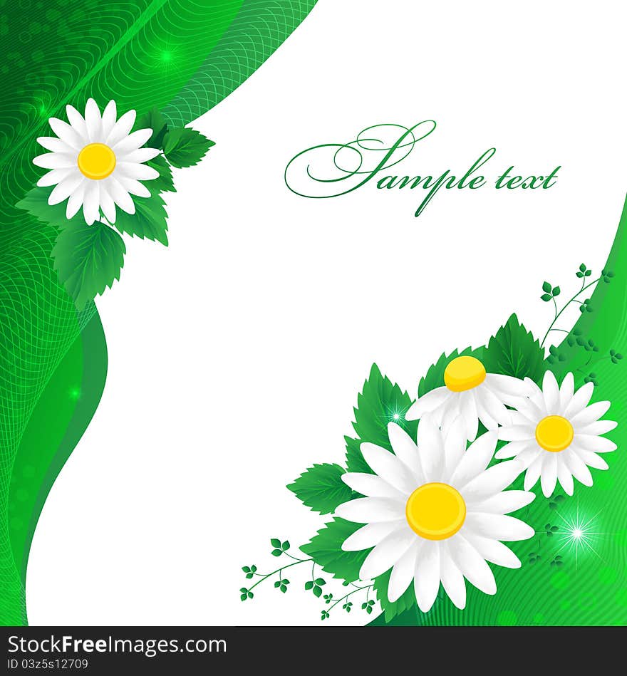 White daisies on a green background. White daisies on a green background