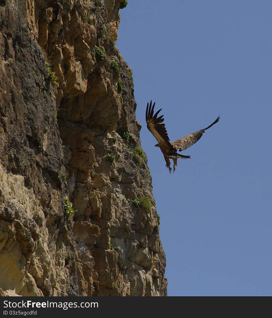 This shot was taken in North Caucasus region, in mountain gorge. This shot was taken in North Caucasus region, in mountain gorge