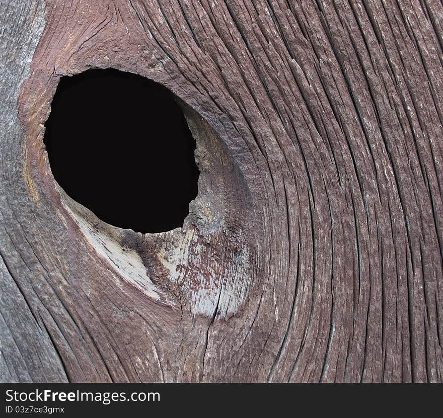 Close-up of an oval knot hole in a board with a curving grain pattern.