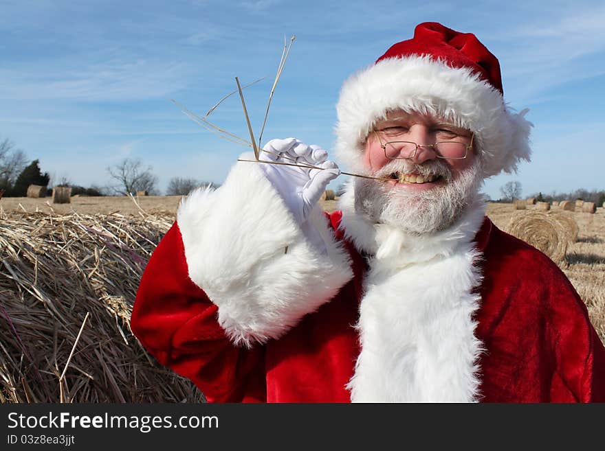 Santa Claus chewing on a piece of straw in a hayfield. Santa Claus chewing on a piece of straw in a hayfield.