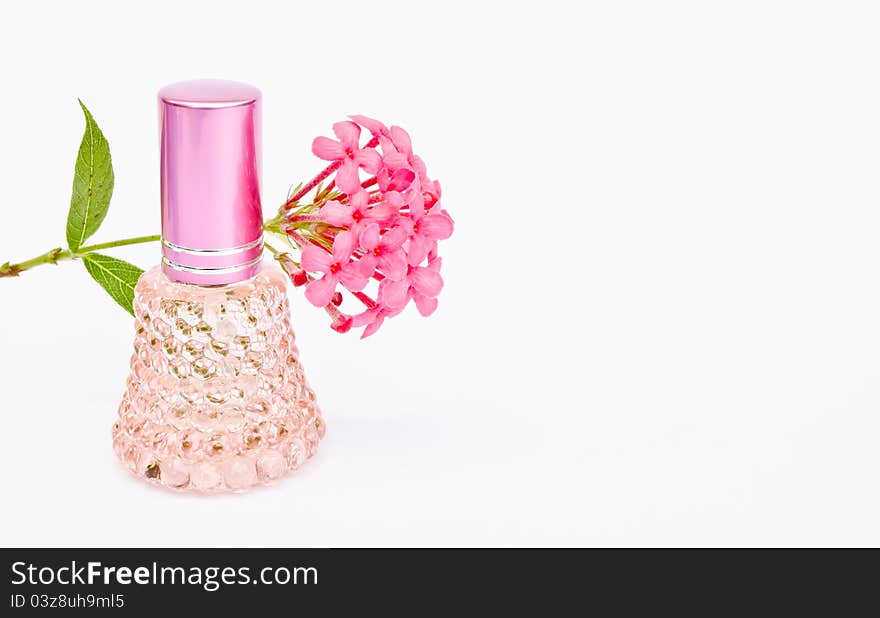 Perfume And Pink Flower On White Background