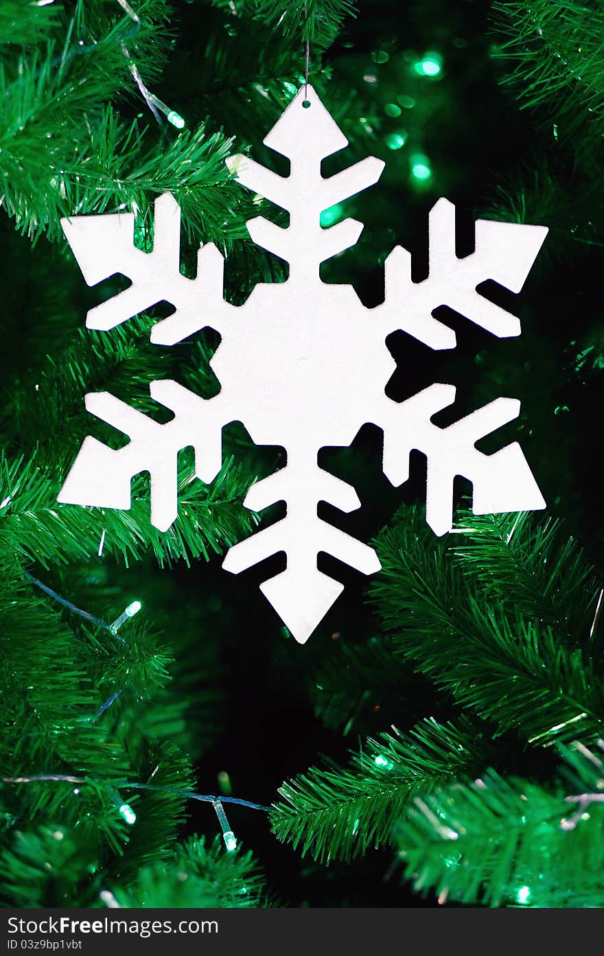 The symbol this Christmas season in Christmas's tree. The symbol this Christmas season in Christmas's tree.