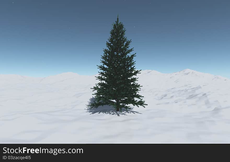 A single  spruce among the snow hills