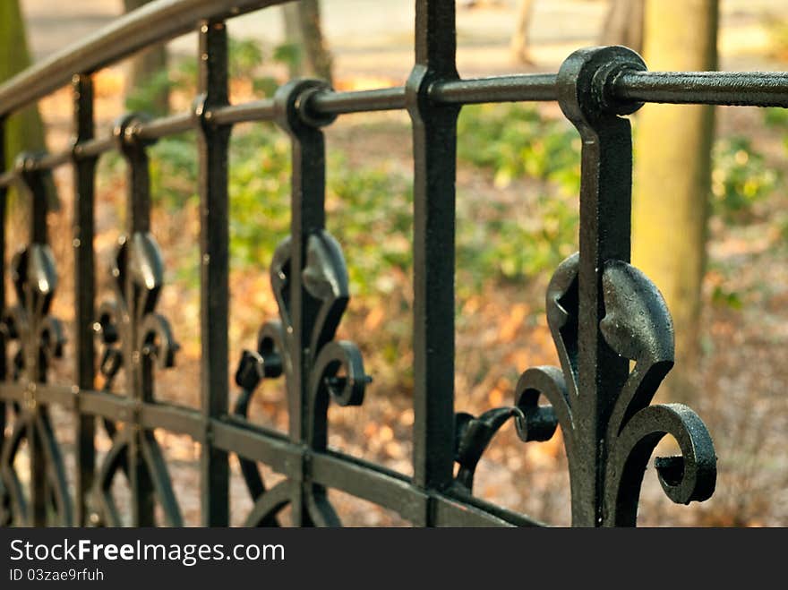 Black decorated fence, close-up macro i sunny autumn day. Black decorated fence, close-up macro i sunny autumn day