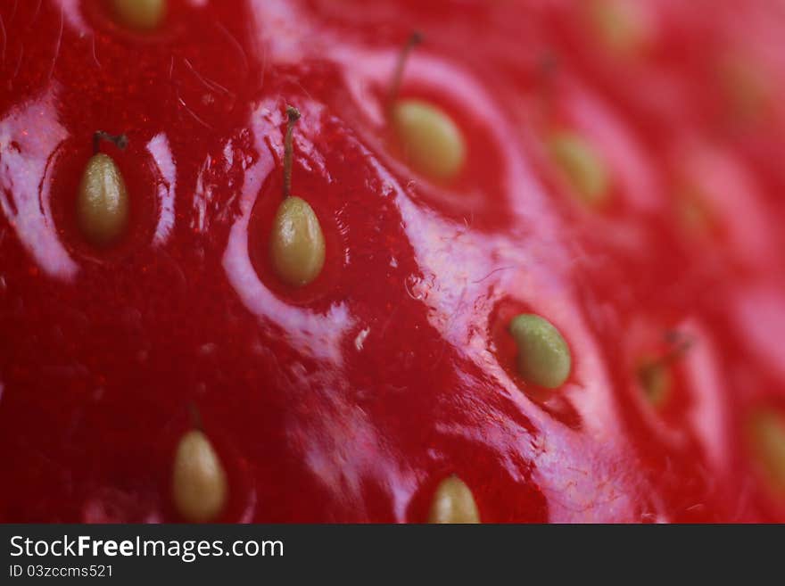 Macro with red fruit