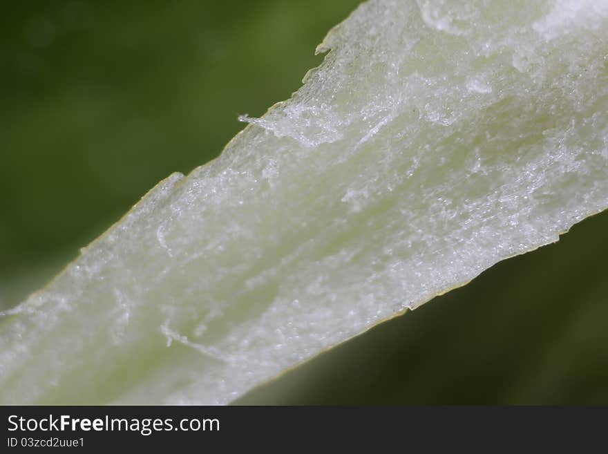 Macro With Leaf Texture