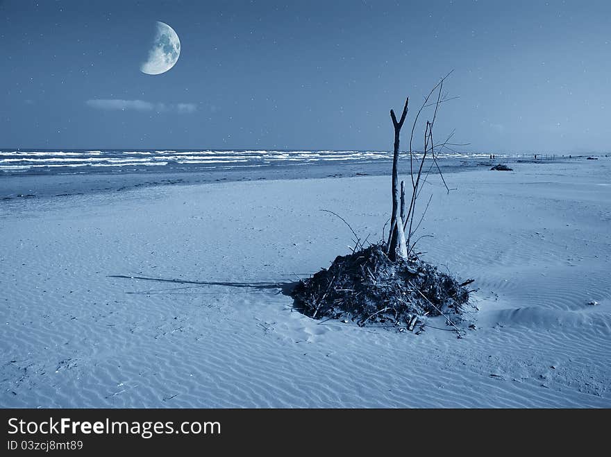 Debris On The Beach