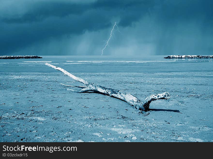 Trunk on the beach