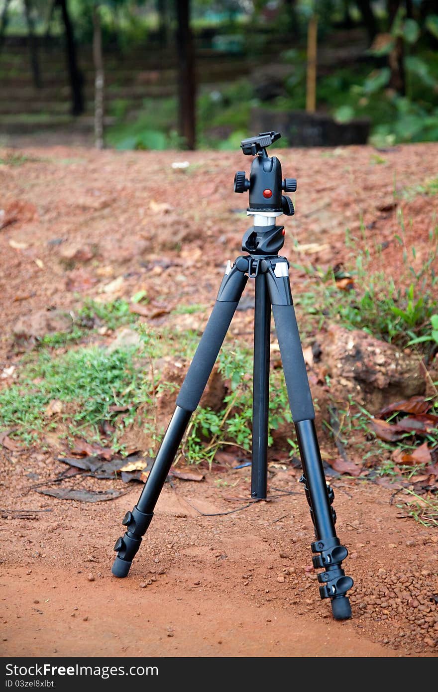 Camera Stand - Tripod