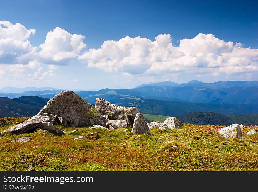 Summer landscape in the mountains