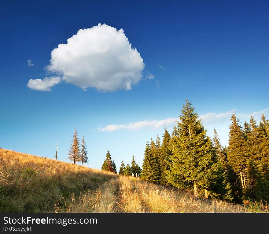 Summer sunny landscape with a cloudy sky. Ukraine, the Carpathian mountains. Summer sunny landscape with a cloudy sky. Ukraine, the Carpathian mountains.