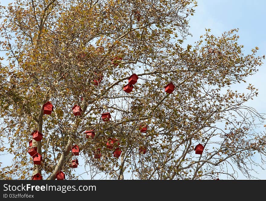 Birds' wooden nests on tree