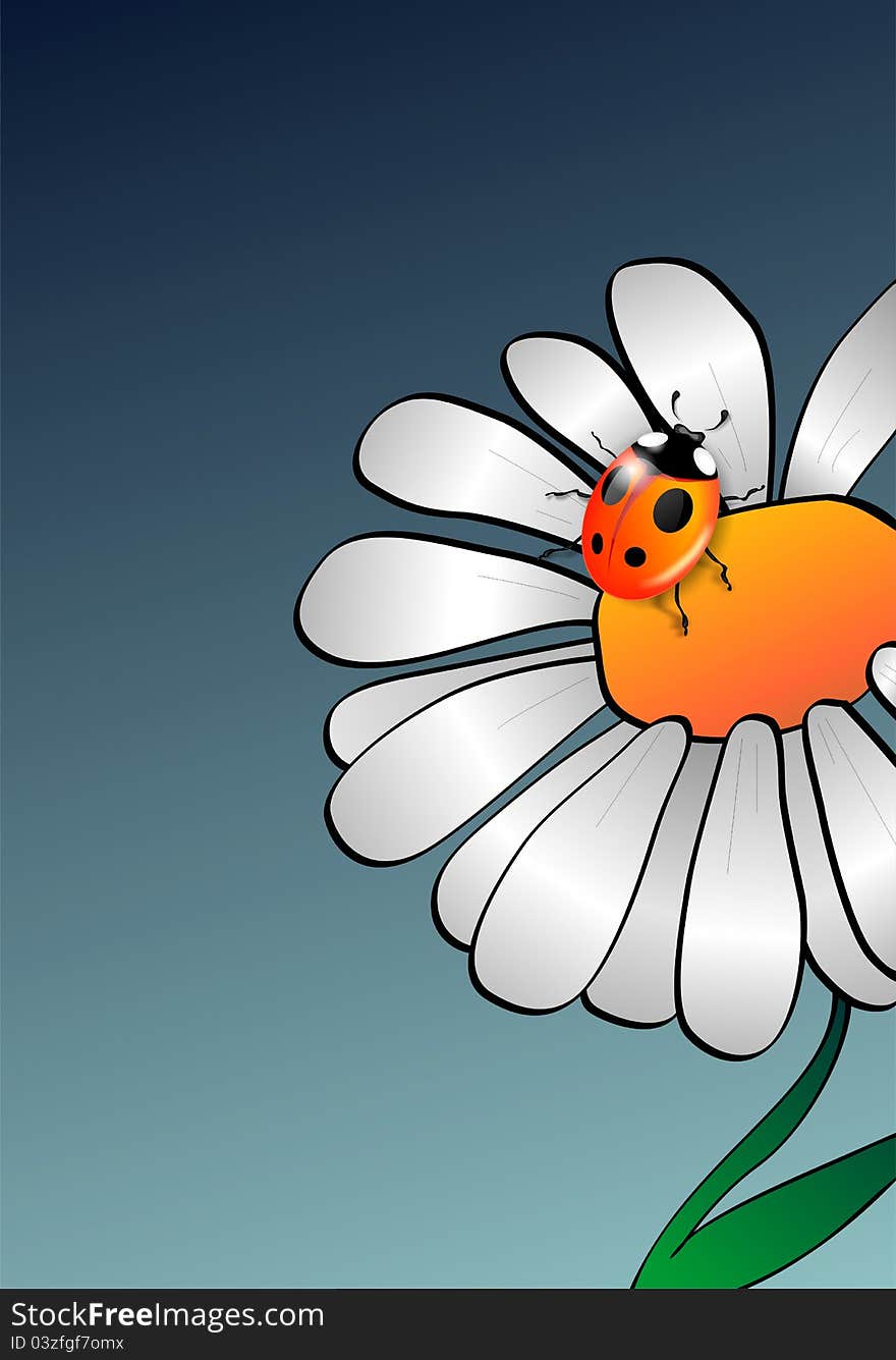 Camomile With Ladybug