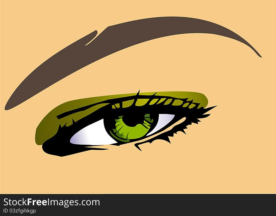 Vector illustration of a beautiful woman eye close up. Vector illustration of a beautiful woman eye close up